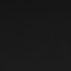 Meet your Posher, Bridget